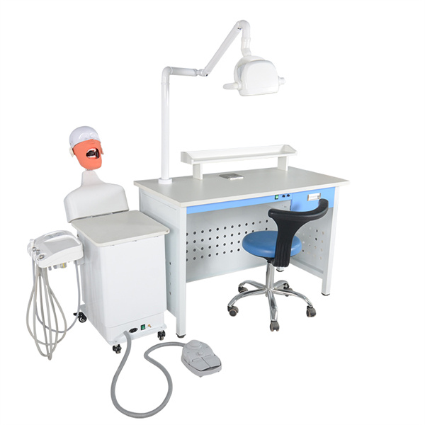 Simulated Success: How Dentsim Simulator Revolutionizes Dental Education