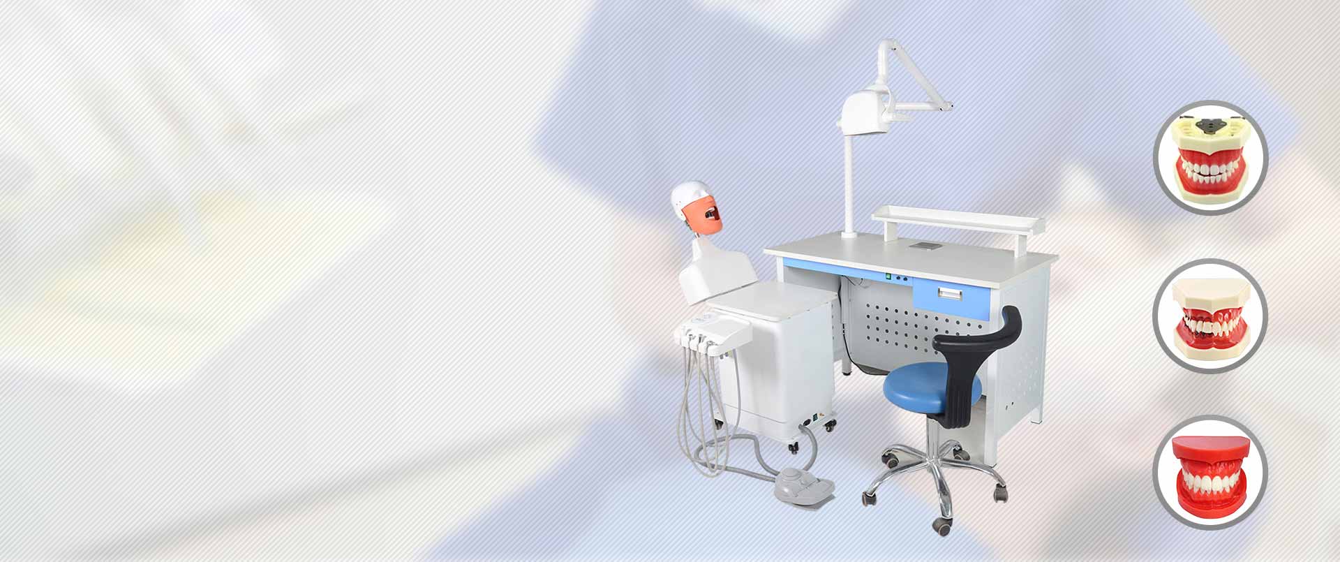 Professional R & D And <br> Production Of Dental Simulator