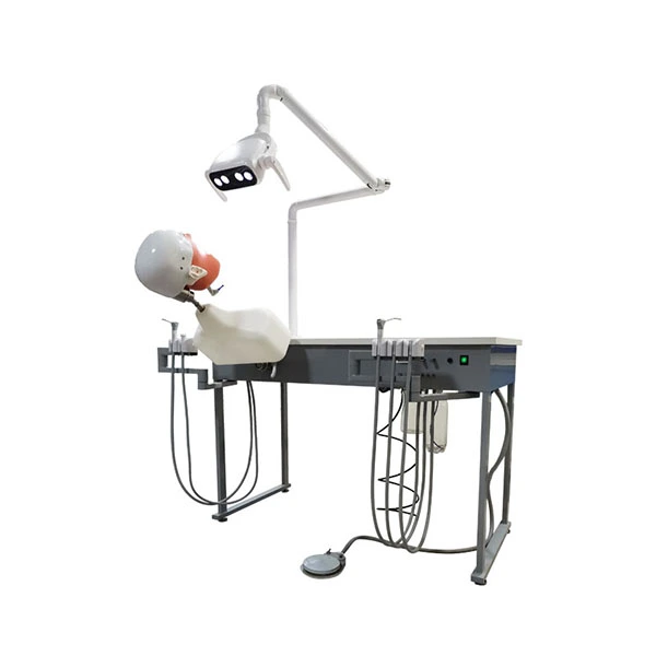 UMG-VIII Dental Simulation Unit